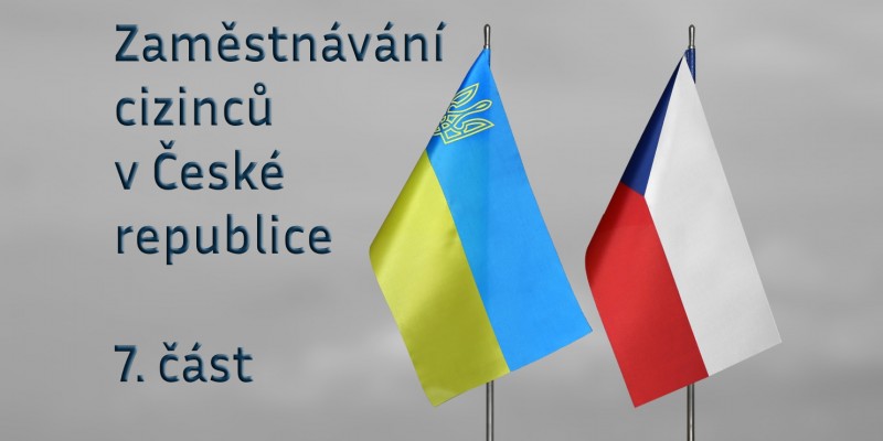 Zaměstnávání cizinců v České republice 7.