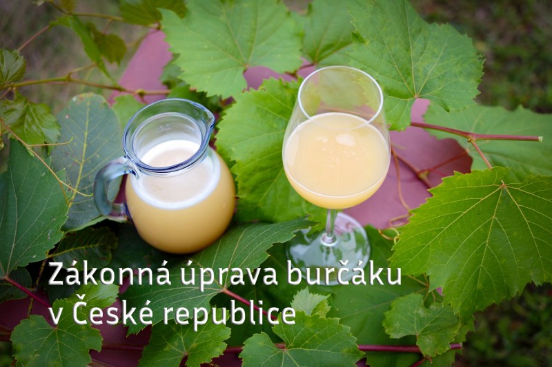 Zákonná úprava burčáku v České republice